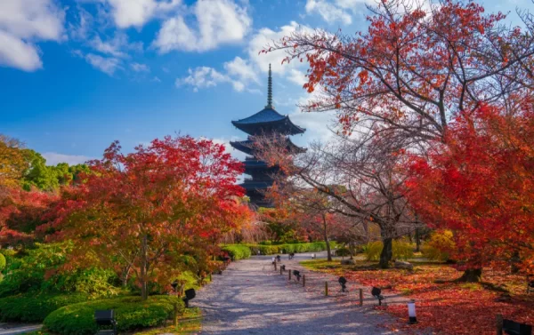 Toji Temple (Đông Tự) - Biểu tượng vượt thời gian tại Kyoto