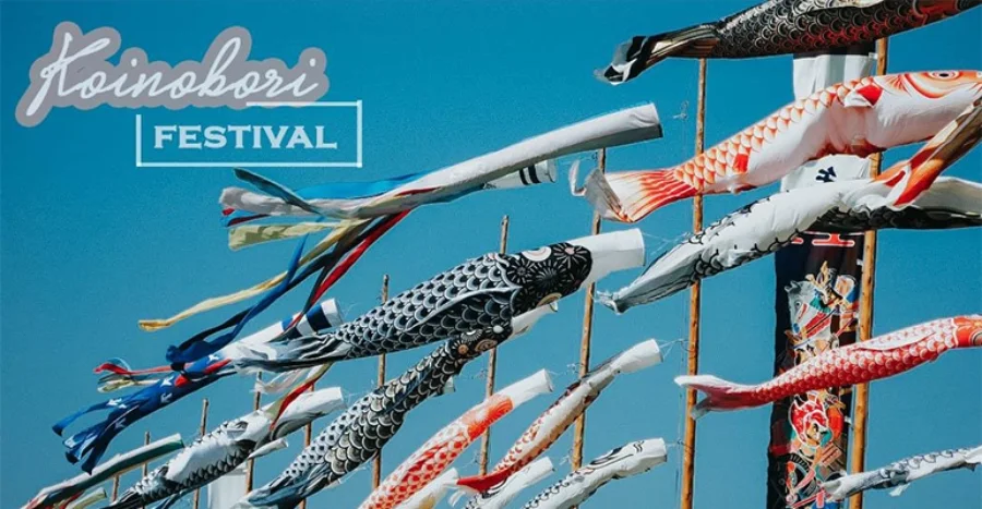 Lễ hội cá chép Koinobori Matsuri | Lễ hội mùa xuân Nhật Bản