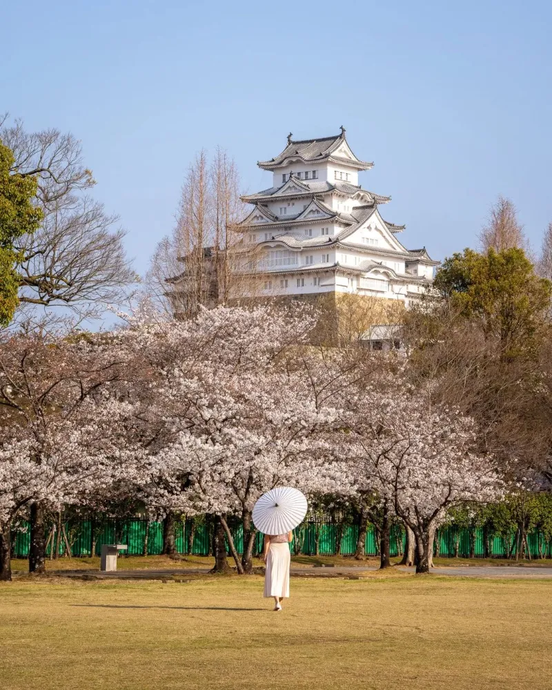 Himeji Castle - Tòa Lâu Đài Hạc Trắng Giữa Lòng Nhật Bản