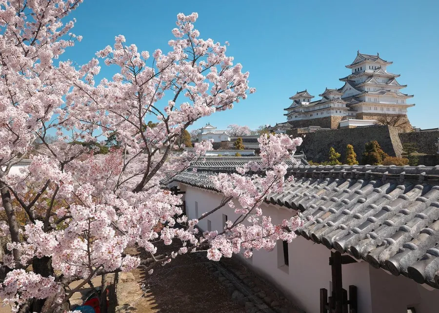 Himeji Castle - Tòa Lâu Đài Hạc Trắng Giữa Lòng Nhật Bản