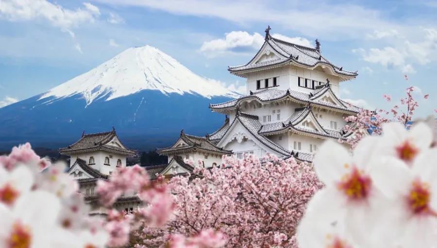 Himeji Castle - Tòa Lâu Đài Hạc Trắng Giữa Lòng Nhật Bản