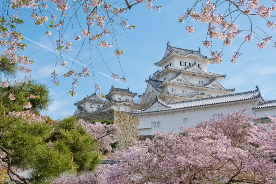 Himeji Castle - Tòa Lâu Đài Hạc Trắng Giữa Lòng Nhật Bản