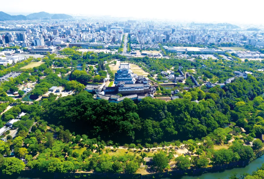 Himeji Castle - Tòa Lâu Đài Hạc Trắng Giữa Lòng Nhật Bản