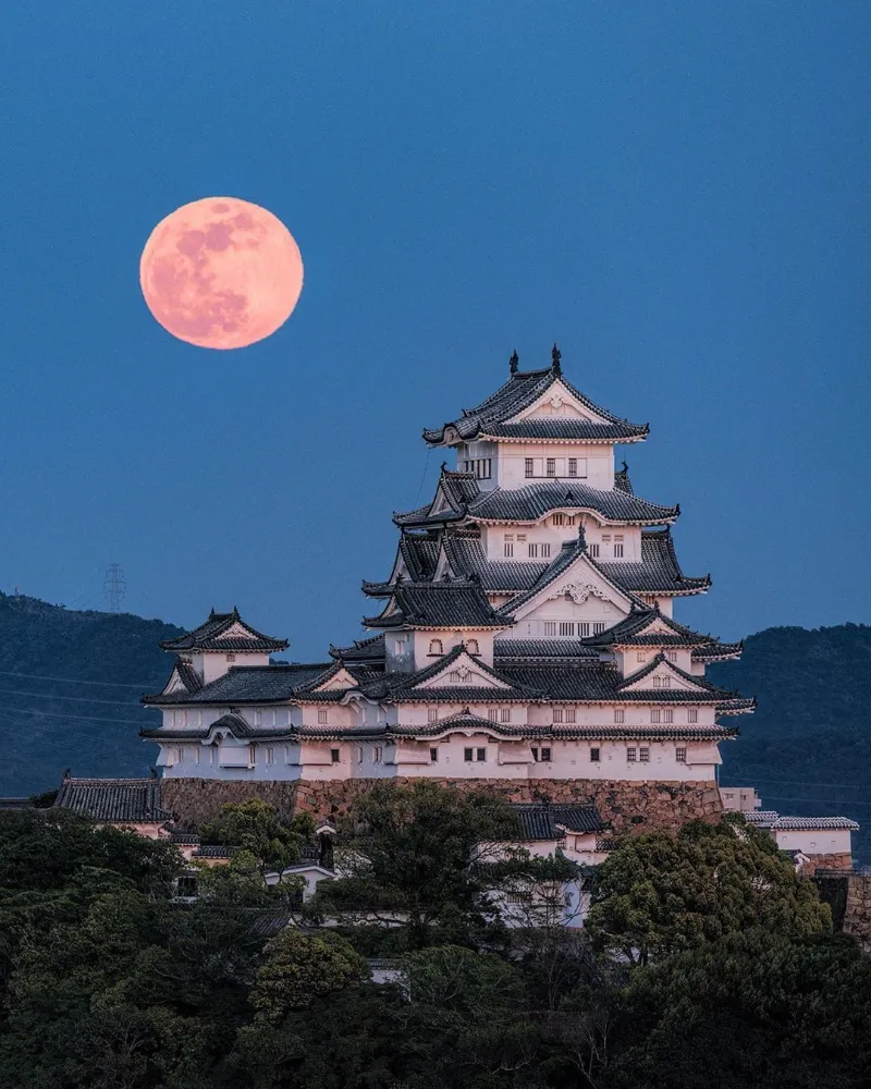 Himeji Castle - Tòa Lâu Đài Hạc Trắng Giữa Lòng Nhật Bản