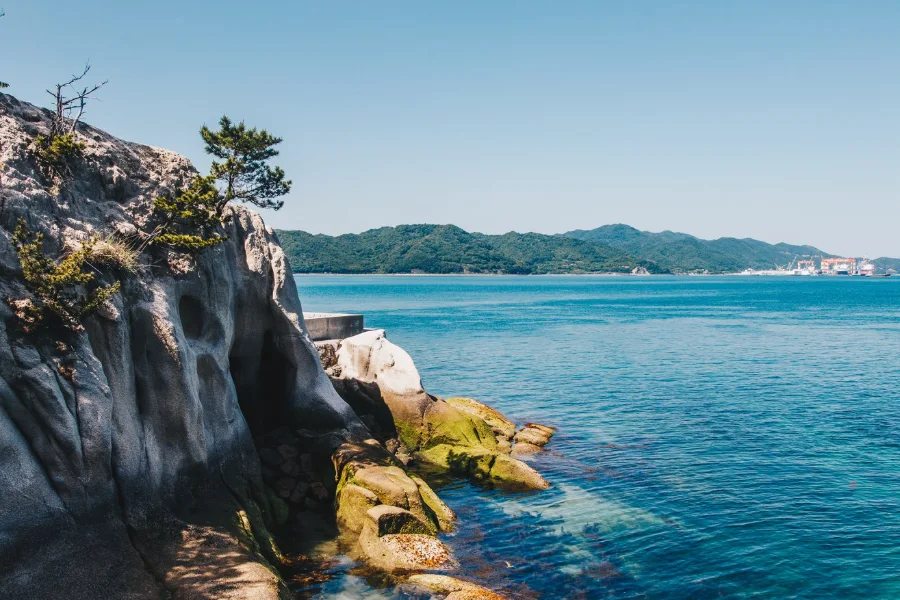 Okunoshima Island - Khám phá hòn đảo của những chú thỏ đáng yêu Okunoshima Island (Đảo Okunoshima) - Đảo thỏ ở Hiroshima (Rabbit Island)