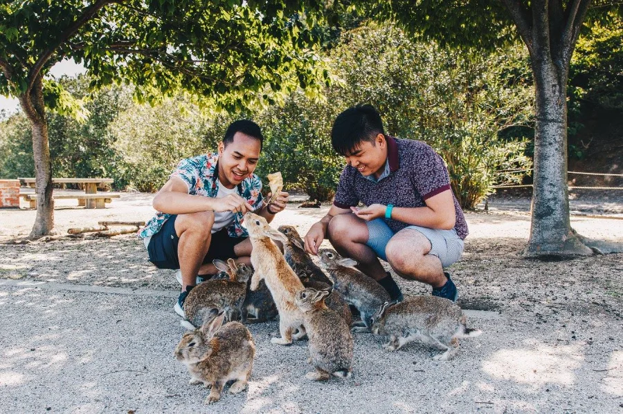 Okunoshima Island (Đảo Okunoshima) - Đảo thỏ ở Hiroshima (Rabbit Island)
