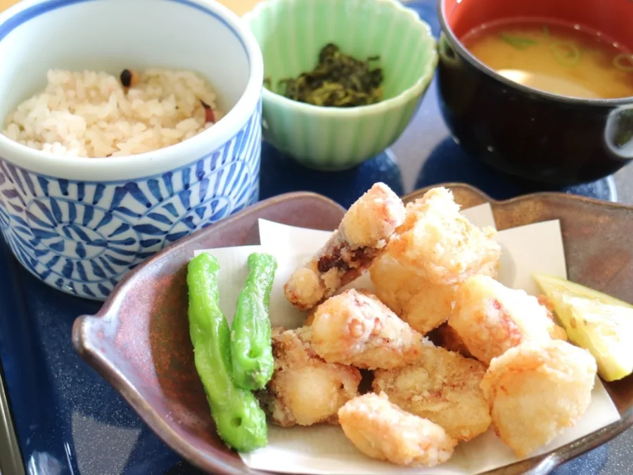 Okunoshima Island - Khám phá hòn đảo của những chú thỏ đáng yêu Okunoshima Island (Đảo Okunoshima) - Đảo thỏ ở Hiroshima (Rabbit Island)
