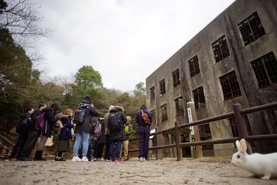 Okunoshima Island - Khám phá hòn đảo của những chú thỏ đáng yêu Okunoshima Island (Đảo Okunoshima) - Đảo thỏ ở Hiroshima (Rabbit Island)