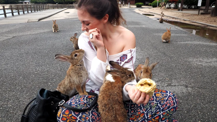 Okunoshima Island - Khám phá hòn đảo của những chú thỏ đáng yêu Okunoshima Island (Đảo Okunoshima) - Đảo thỏ ở Hiroshima (Rabbit Island)