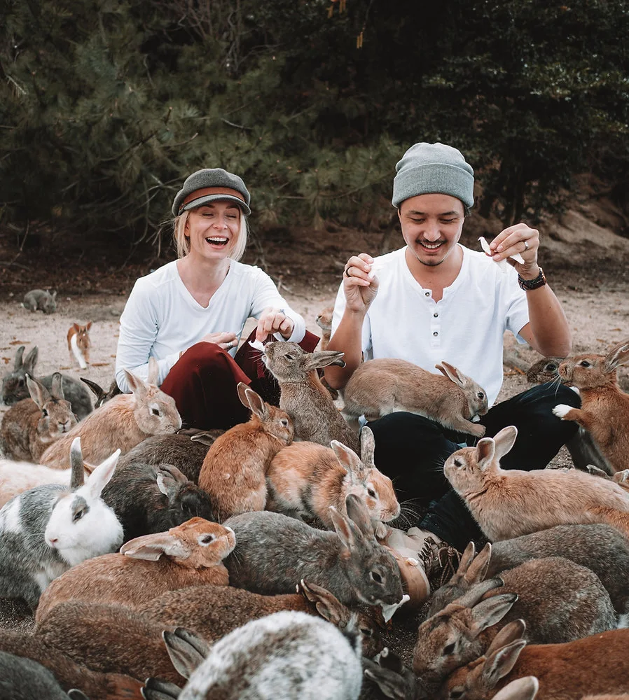 Okunoshima Island - Khám phá hòn đảo của những chú thỏ đáng yêu Okunoshima Island (Đảo Okunoshima) - Đảo thỏ ở Hiroshima (Rabbit Island)