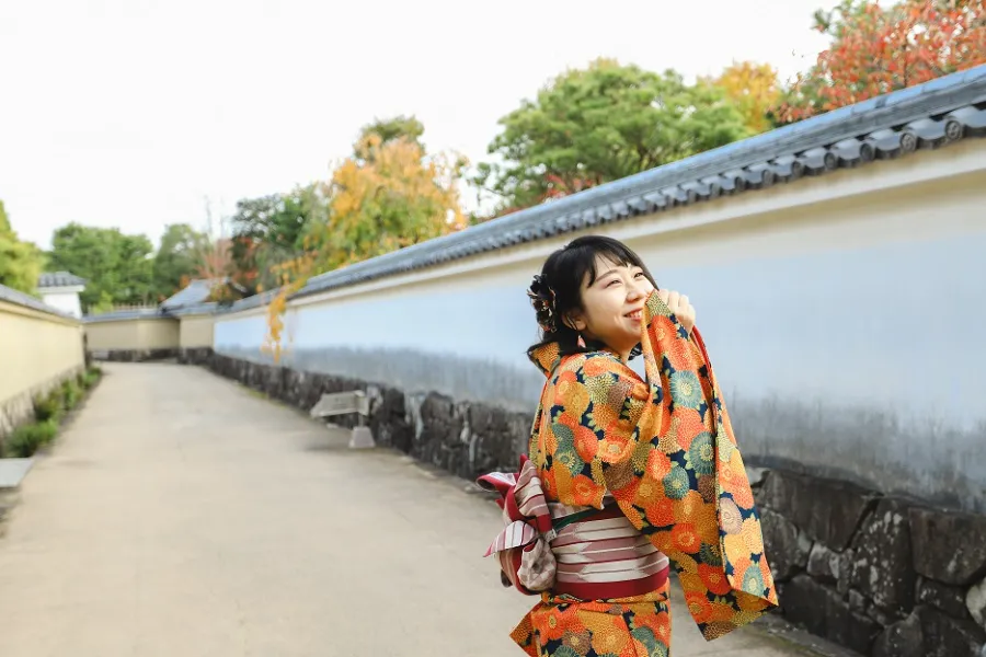 Himeji Castle - Tòa Lâu Đài Hạc Trắng Giữa Lòng Nhật Bản