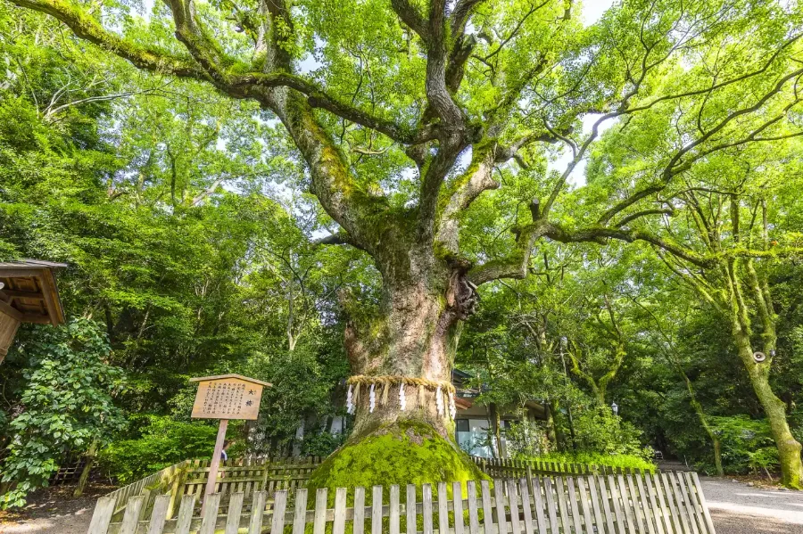 Atsuta Jingu Shrine - Ngôi Đền Linh Thiêng ở Nagoya Nhật Bản