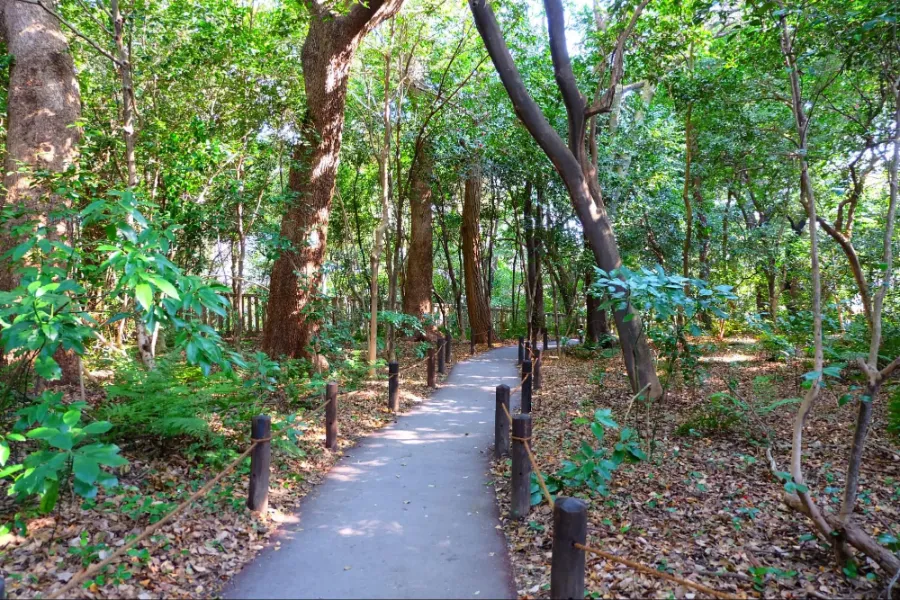 Atsuta Jingu Shrine - Ngôi Đền Linh Thiêng ở Nagoya Nhật Bản