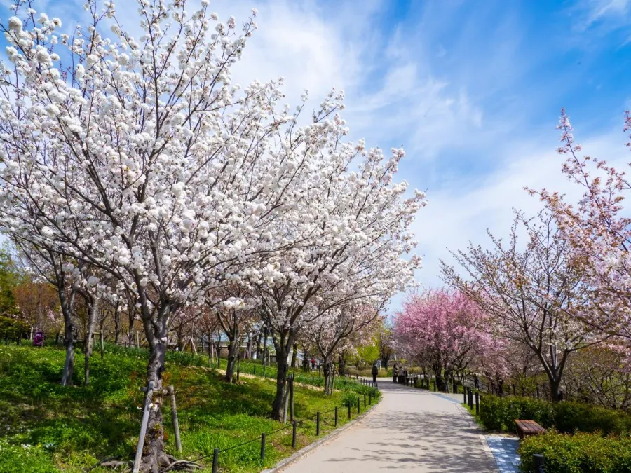 higashiyama zoo and botanical gardens