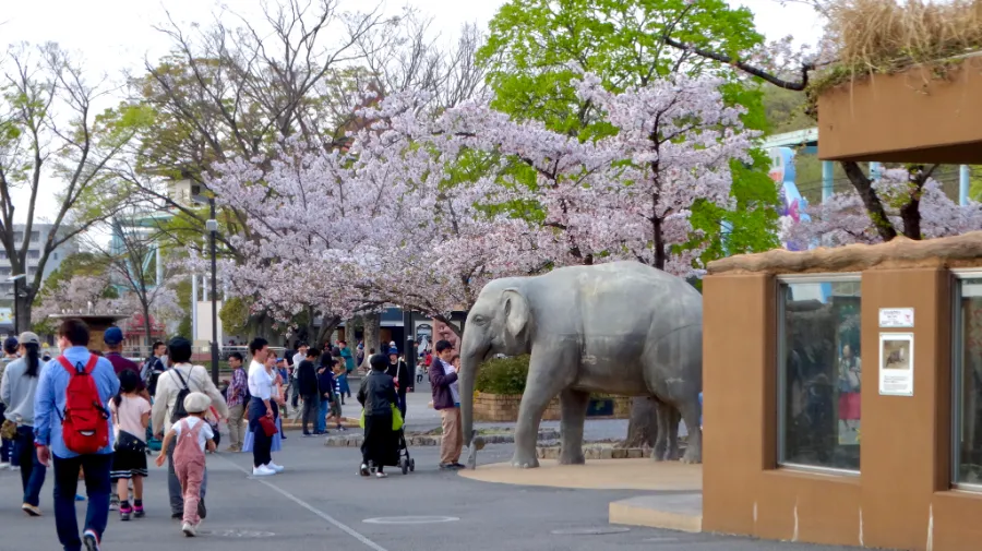 higashiyama zoo and botanical gardens