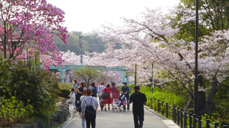 higashiyama zoo and botanical gardens