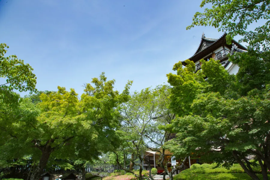 Inuyama Castle (Lâu đài Inuyama)