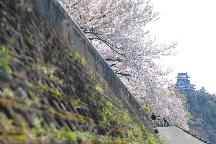 Inuyama Castle (Lâu đài Inuyama)