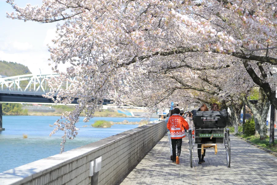 Inuyama Castle (Lâu đài Inuyama)