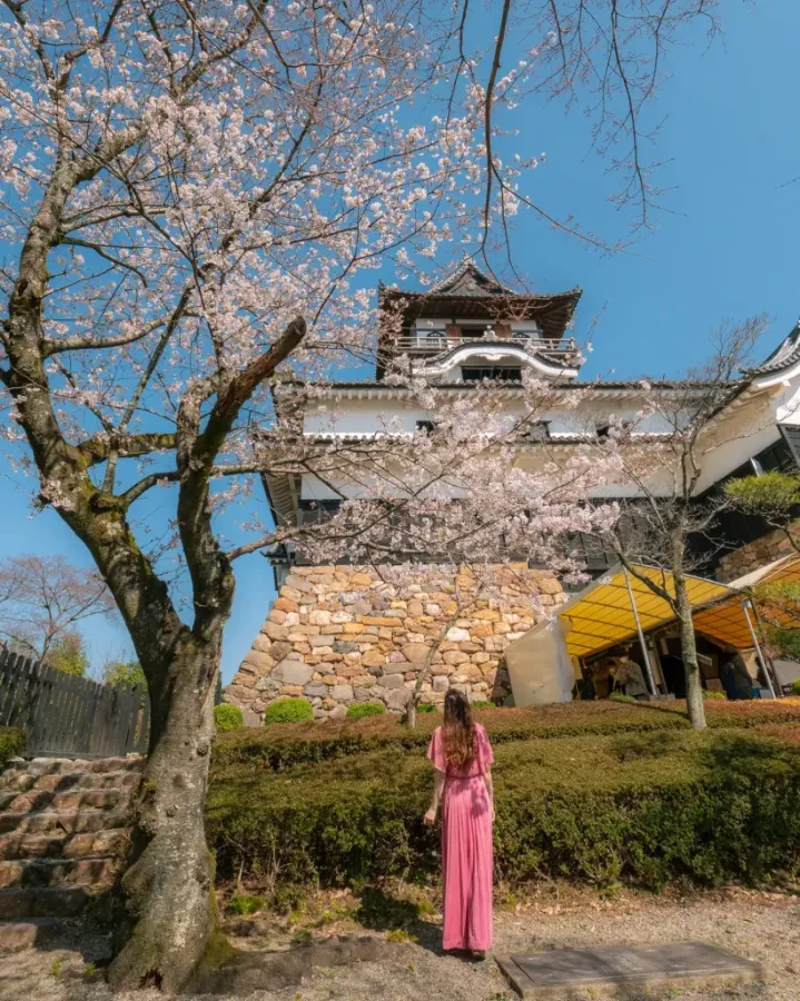 Inuyama Castle (Lâu đài Inuyama)