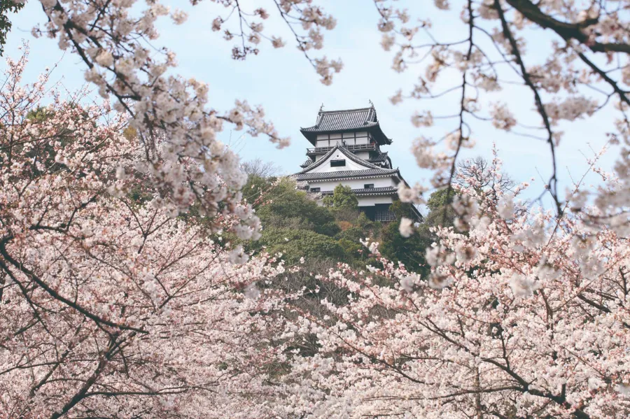 Inuyama Castle (Lâu đài Inuyama)