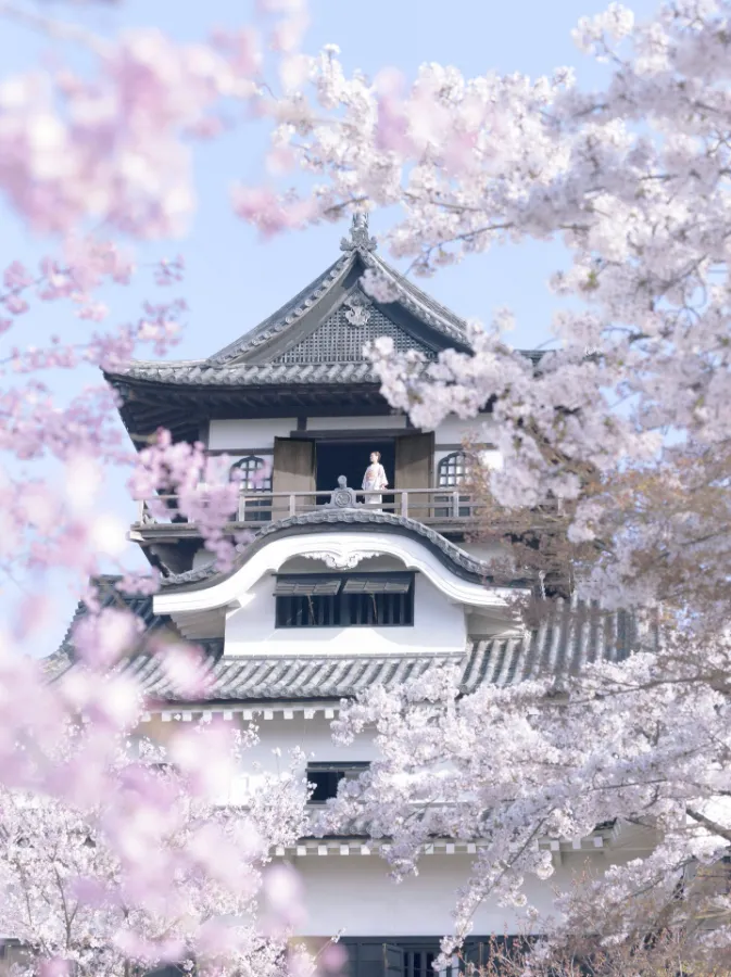 Inuyama Castle (Lâu đài Inuyama)