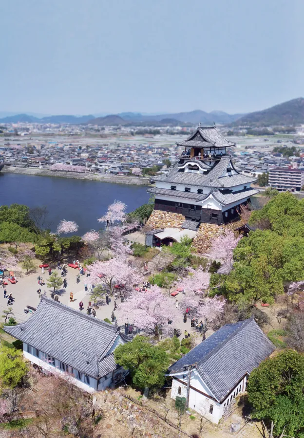 Inuyama Castle (Lâu đài Inuyama)