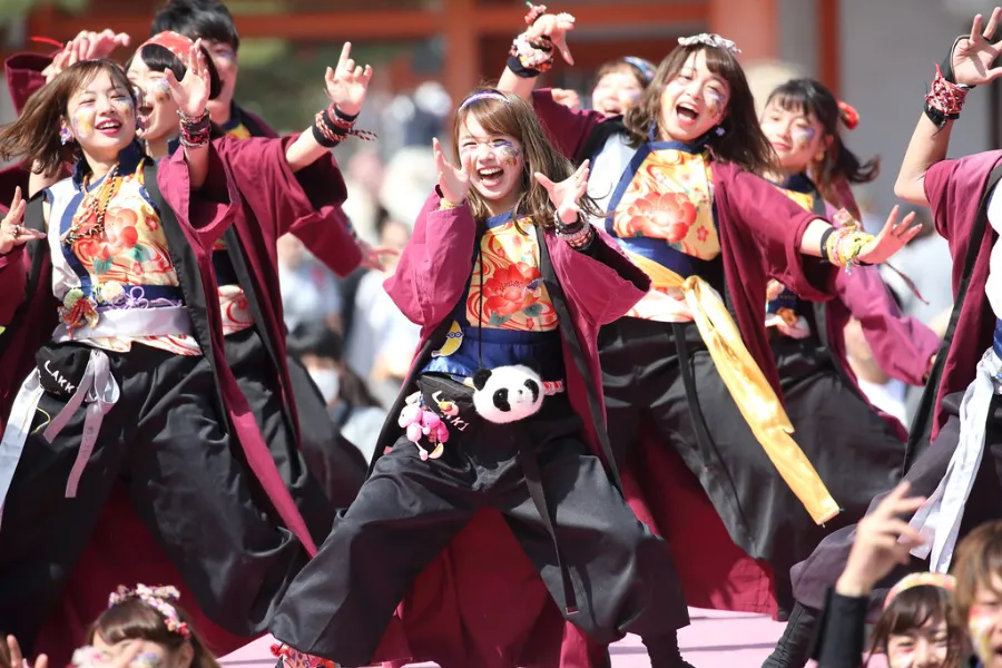 Lễ hội Kyoto Sakura Yosakoi | Lễ hội ở Kyoto Nhật Bản