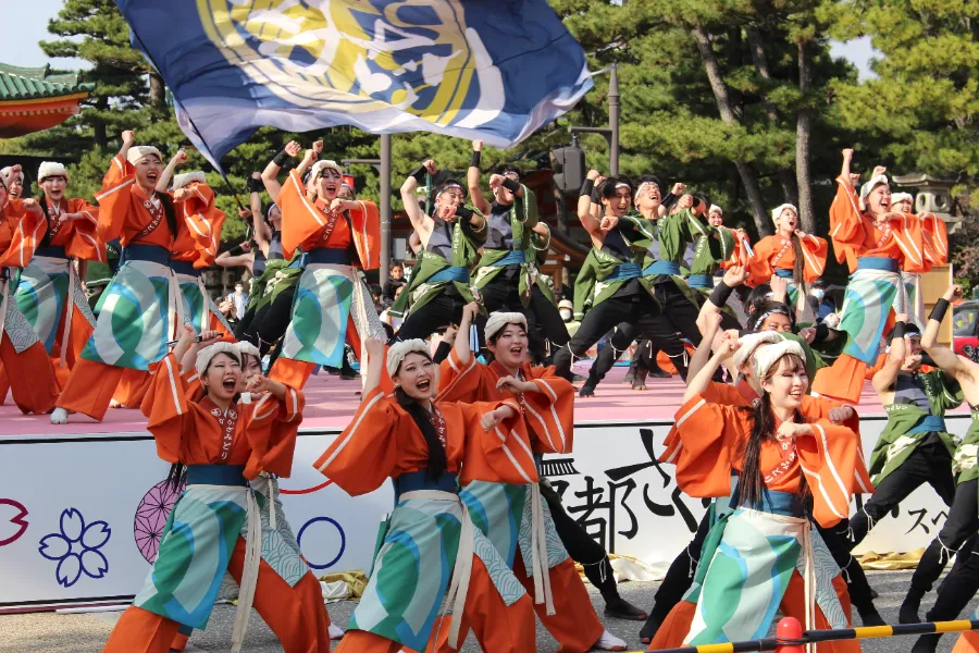 Lễ hội Kyoto Sakura Yosakoi | Lễ hội ở Kyoto Nhật Bản