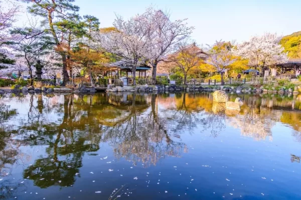 Maruyama Park (Sapporo) - Công viên Maruyama ở Sapporo Nhật Bản