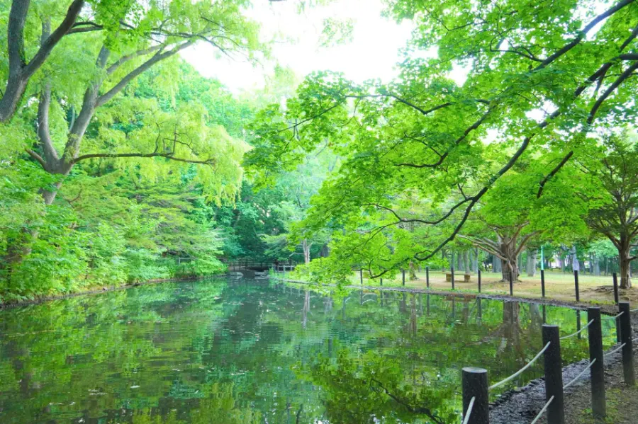 Maruyama Park (Sapporo) - Công viên Maruyama ở Sapporo Nhật Bản