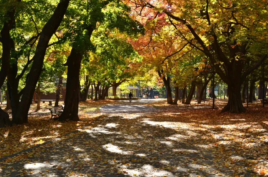 Maruyama Park (Sapporo) - Công viên Maruyama ở Sapporo Nhật Bản