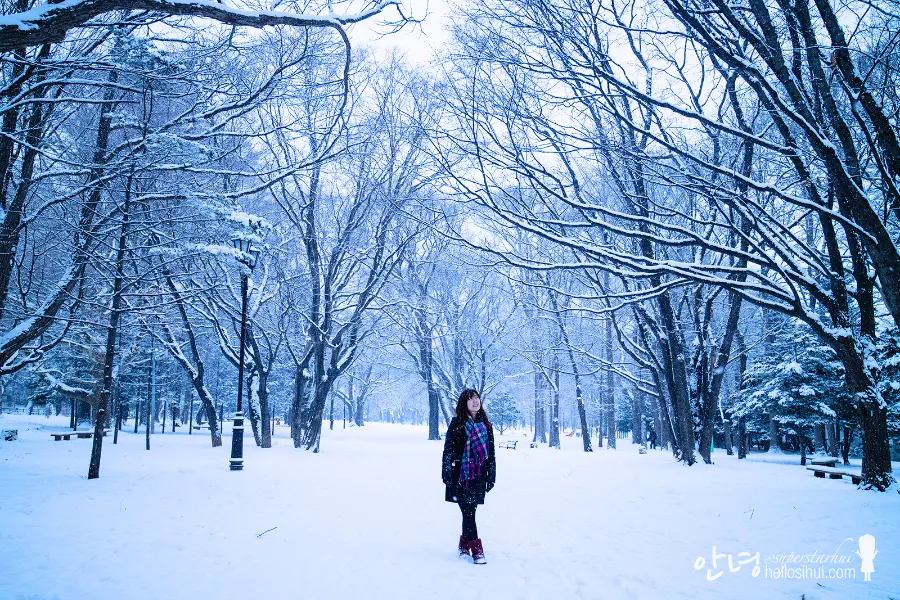 Maruyama Park (Sapporo) - Công viên Maruyama ở Sapporo Nhật Bản