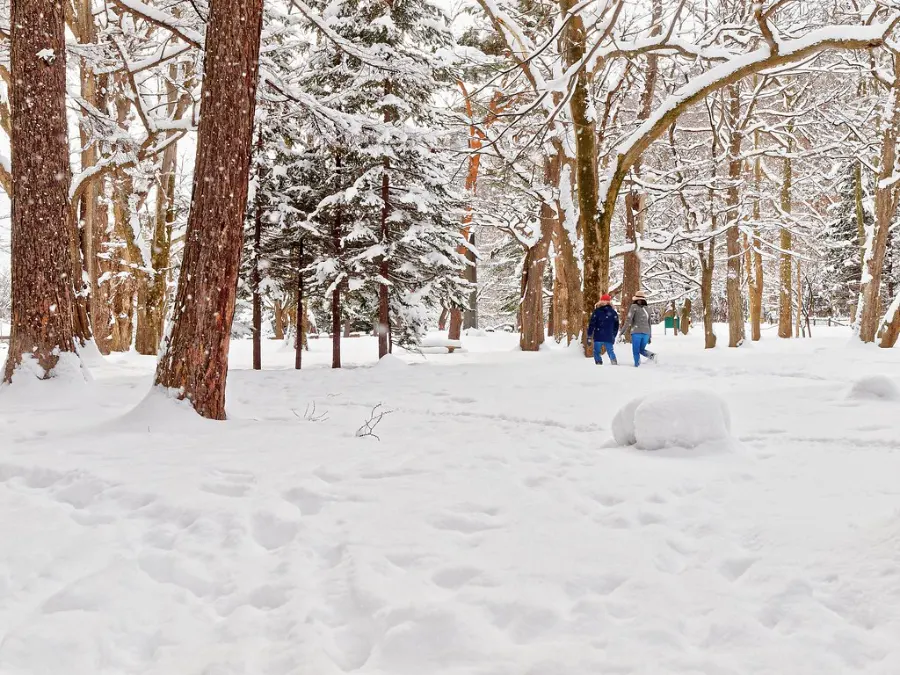 Maruyama Park (Sapporo) - Công viên Maruyama ở Sapporo Nhật Bản