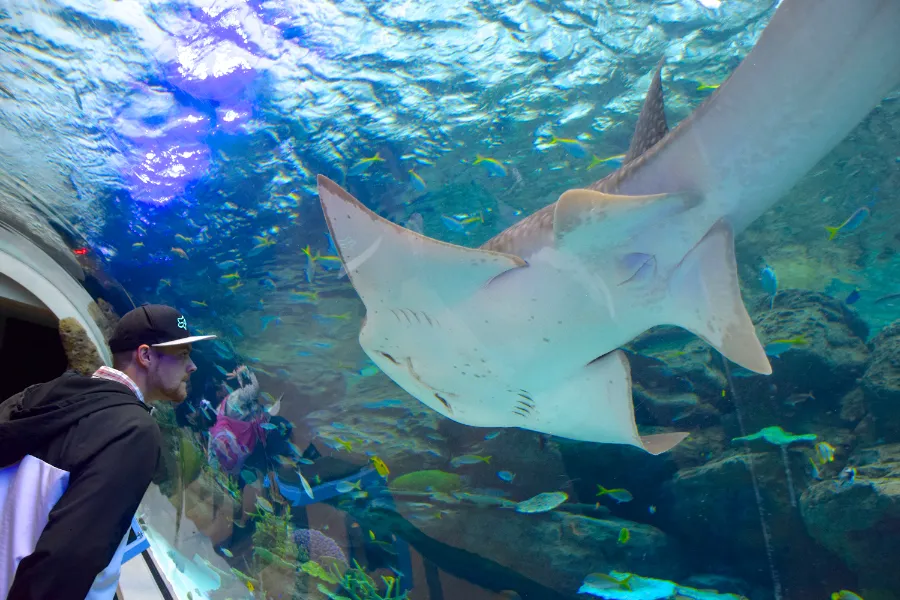 Thủy cung Nagoya (Port of Nagoya Public Aquarium)