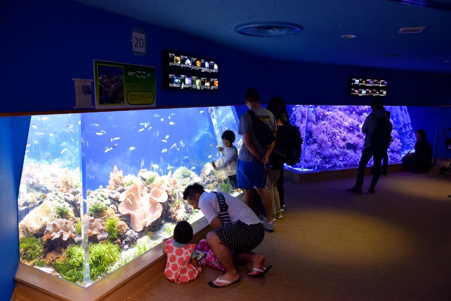 Thủy cung Nagoya (Port of Nagoya Public Aquarium)