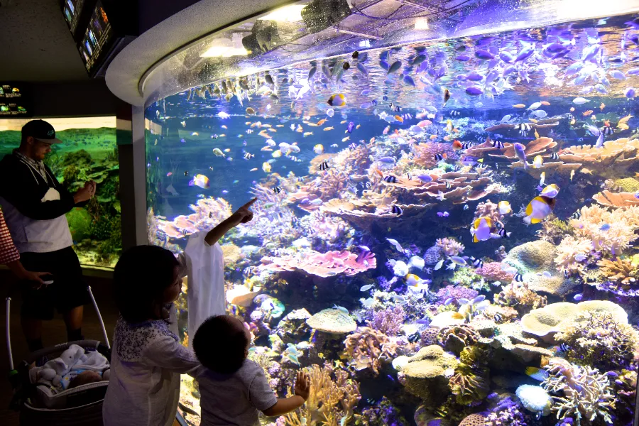 Thủy cung Nagoya (Port of Nagoya Public Aquarium)