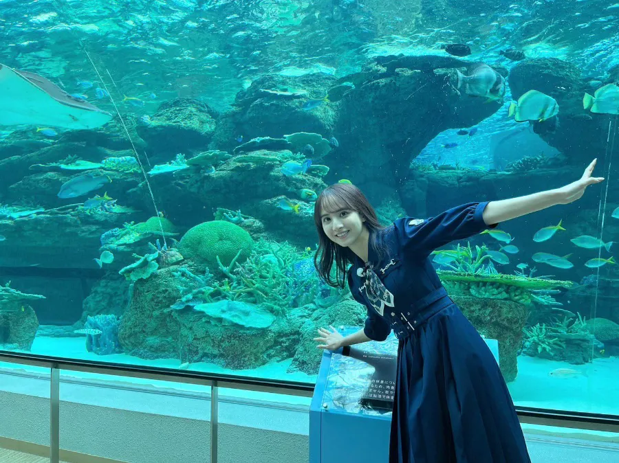 Thủy cung Nagoya (Port of Nagoya Public Aquarium)