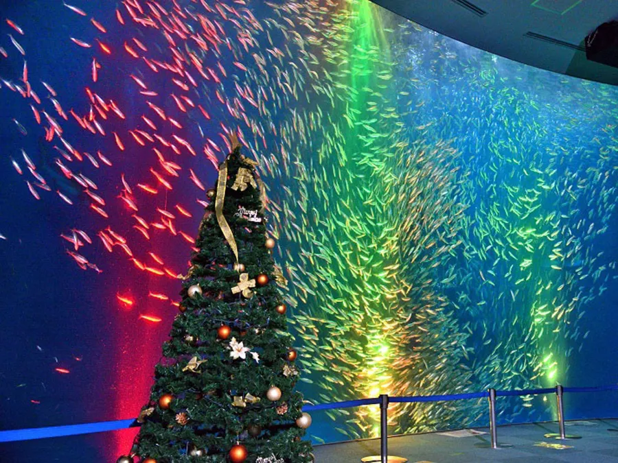 Thủy cung Nagoya (Port of Nagoya Public Aquarium)