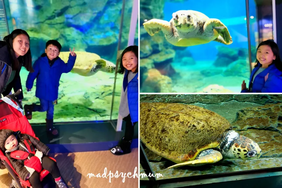 Thủy cung Nagoya (Port of Nagoya Public Aquarium)