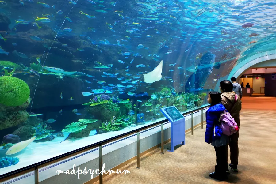 Thủy cung Nagoya (Port of Nagoya Public Aquarium)