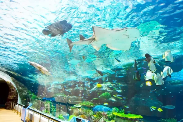 Thủy cung Nagoya (Port of Nagoya Public Aquarium)