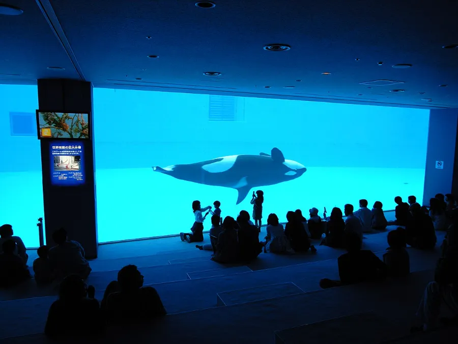 Thủy cung Nagoya (Port of Nagoya Public Aquarium)