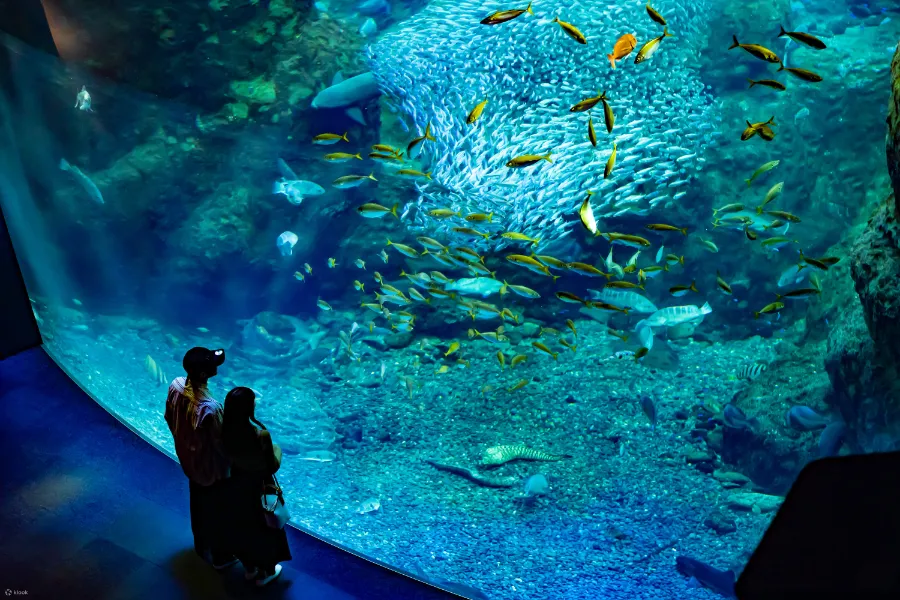 Thủy cung Nagoya (Port of Nagoya Public Aquarium)