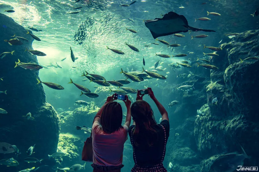 Thủy cung Nagoya (Port of Nagoya Public Aquarium)