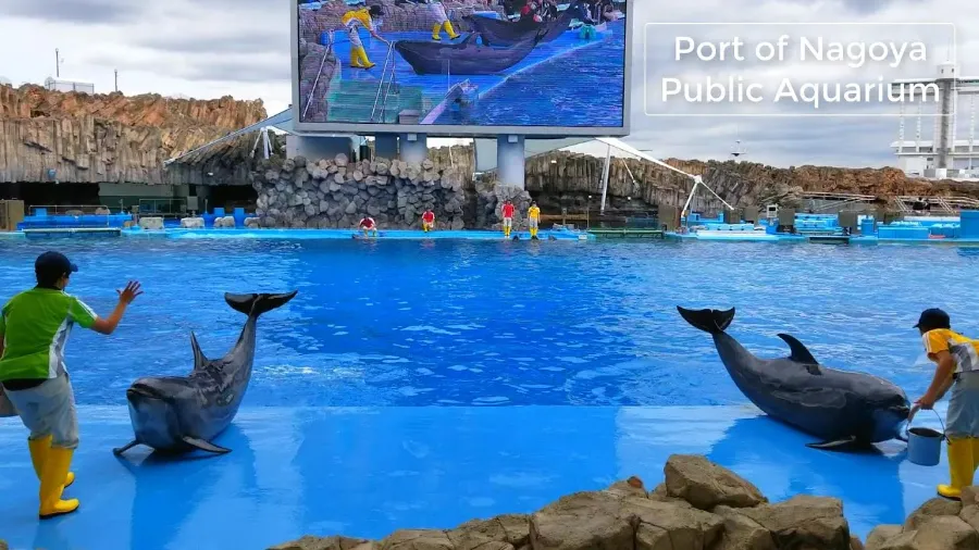 Thủy cung Nagoya (Port of Nagoya Public Aquarium)