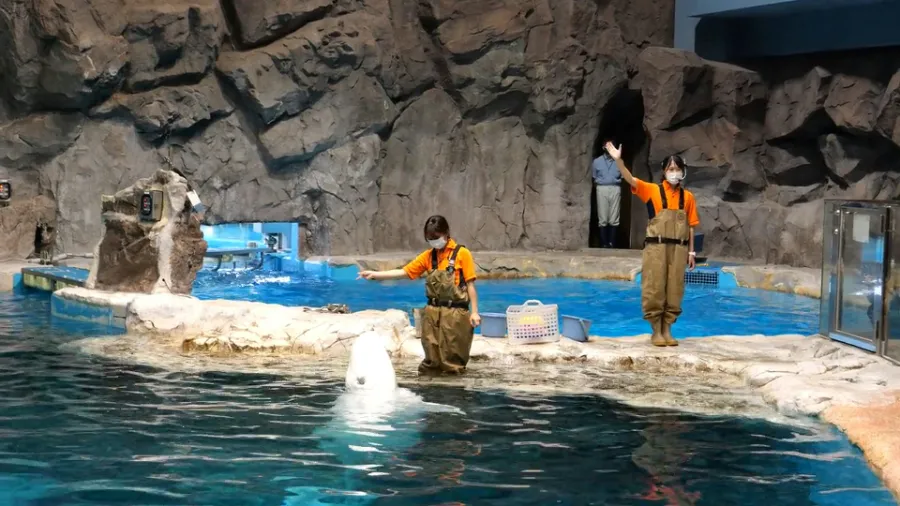 Thủy cung Nagoya (Port of Nagoya Public Aquarium)