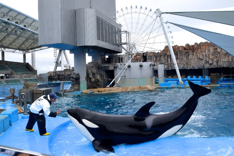 Thủy cung Nagoya (Port of Nagoya Public Aquarium)