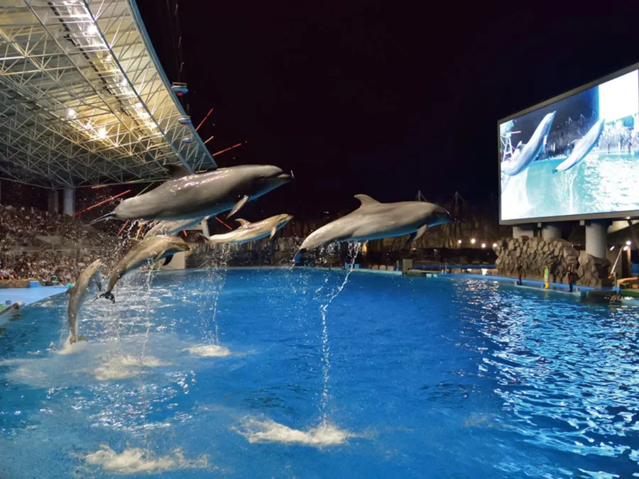 Thủy cung Nagoya (Port of Nagoya Public Aquarium)