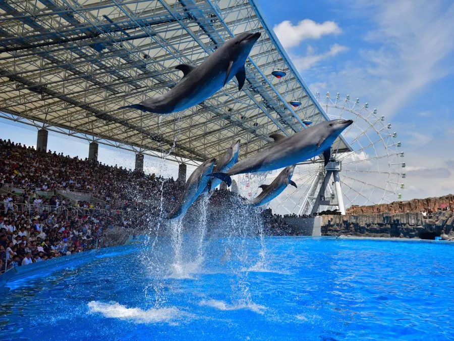 Thủy cung Nagoya (Port of Nagoya Public Aquarium)